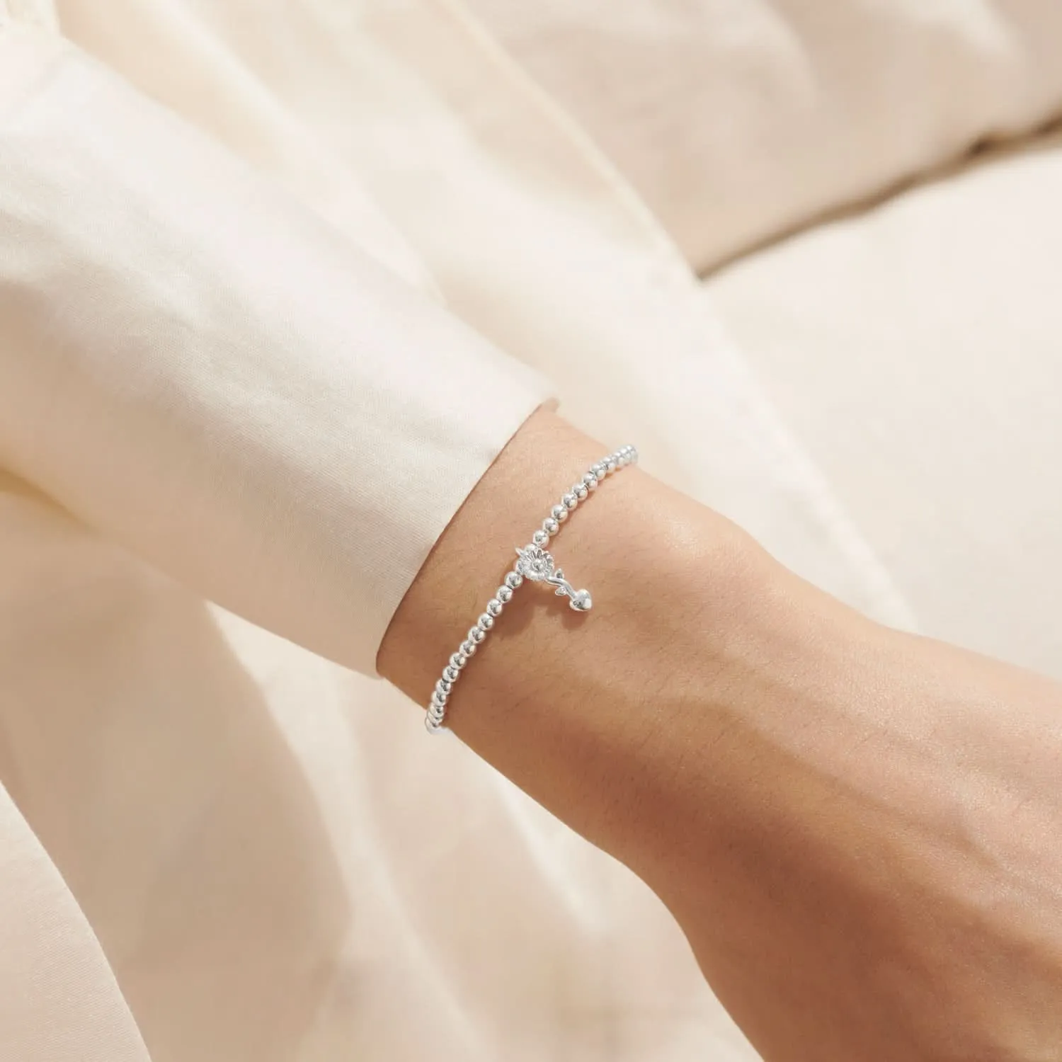 A Little Teachers Plant Seeds that Grow Forever Silver Plated Bracelet 8147 Joma Jewellery