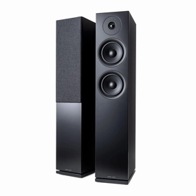 Argon FORUS 55 Floorstanding Speakers Floor Standing Speakers,Tower Speakers,Floorstanding Audio