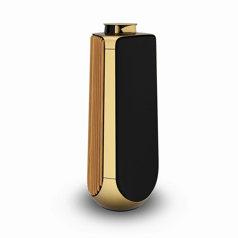 Bang & Olufsen Beolab 50 High-end Active Loudspeaker