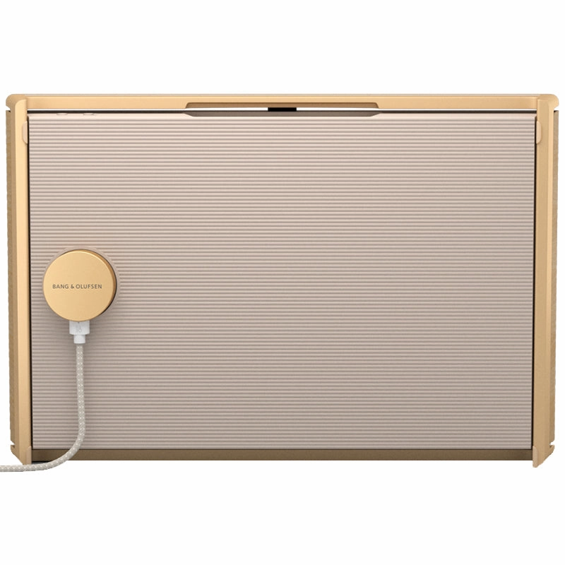 Bang & Olufsen Beosound Level Portable WiFi Speaker - Each
