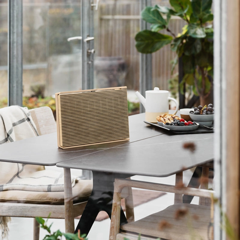 Bang & Olufsen Beosound Level Portable WiFi Speaker - Each