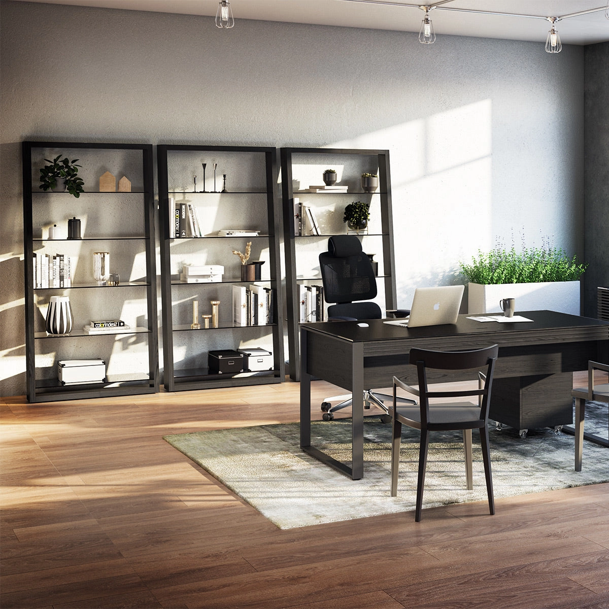 BDI Eileen 2.0 5166 Leaning Shelf with Grey-Tinted Glass Shelves (Charcoal Stained Ash)