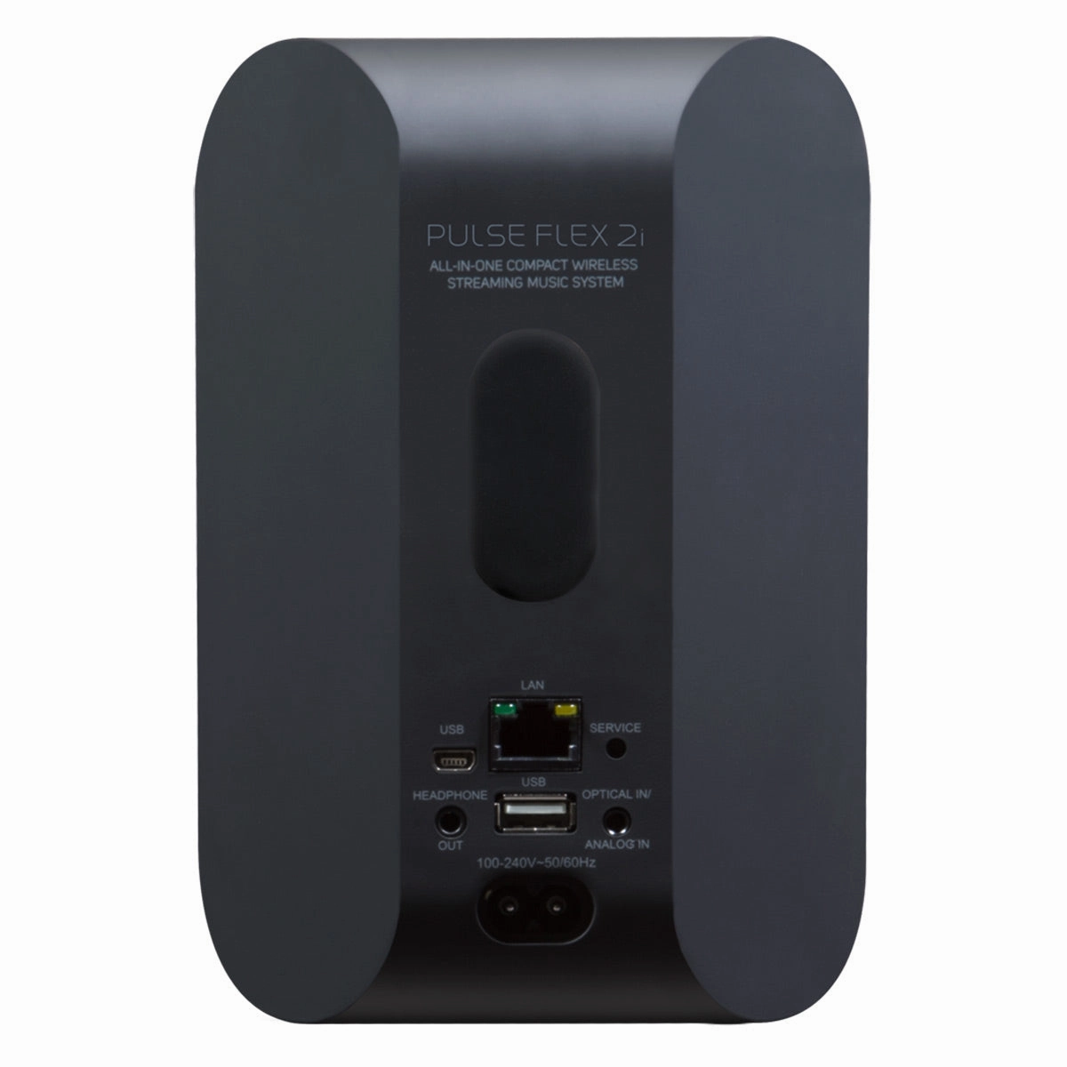 Bluesound PULSE FLEX 2i Portable Wireless Multi-Room Smart Speaker with Bluetooth, Compatible with Alexa and Siri - Pair (Black)