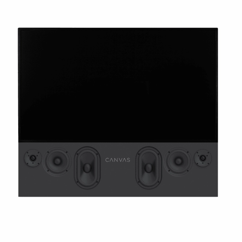 CANVAS High End HiFi TV Speaker Unit Only (Each)