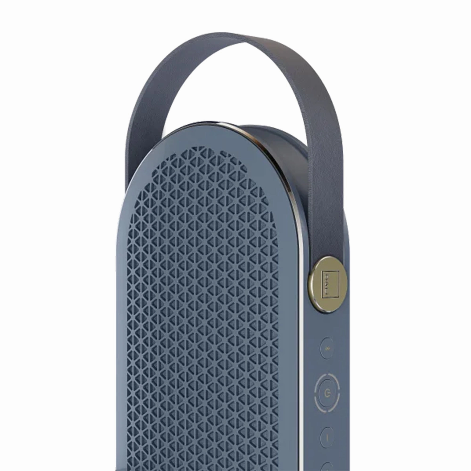 DALI KATCH G2 Portable Speaker