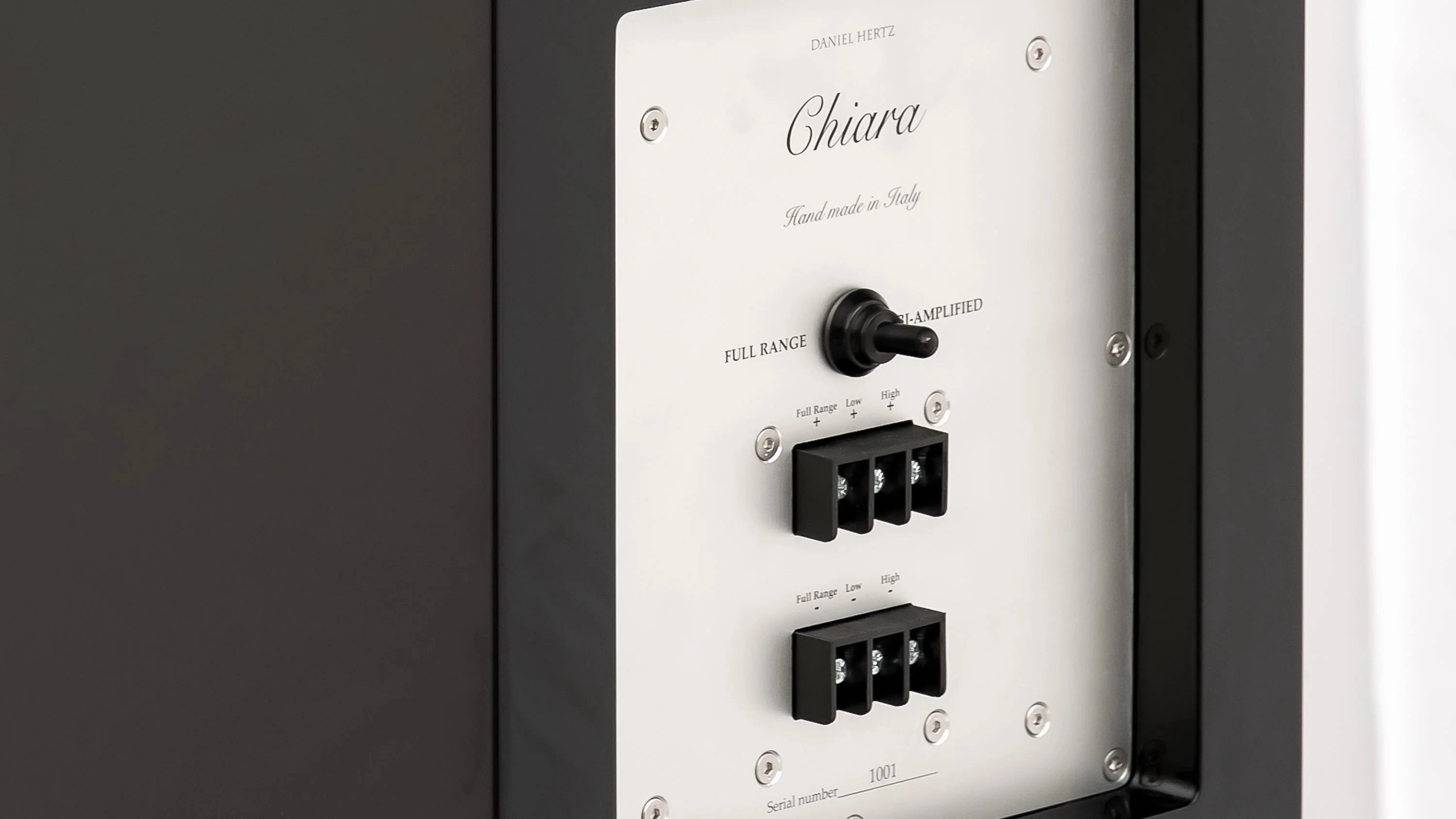Daniel Hertz Chiara Speakers With Maria 800 Amplifier