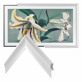 Deco TV Frames 50" Alloy Prismatic Frame for Samsung The Frame TV 2021-2025 (Pure White) hi-fi power strip,hi-fi surge protector,hi-fi coaxial input