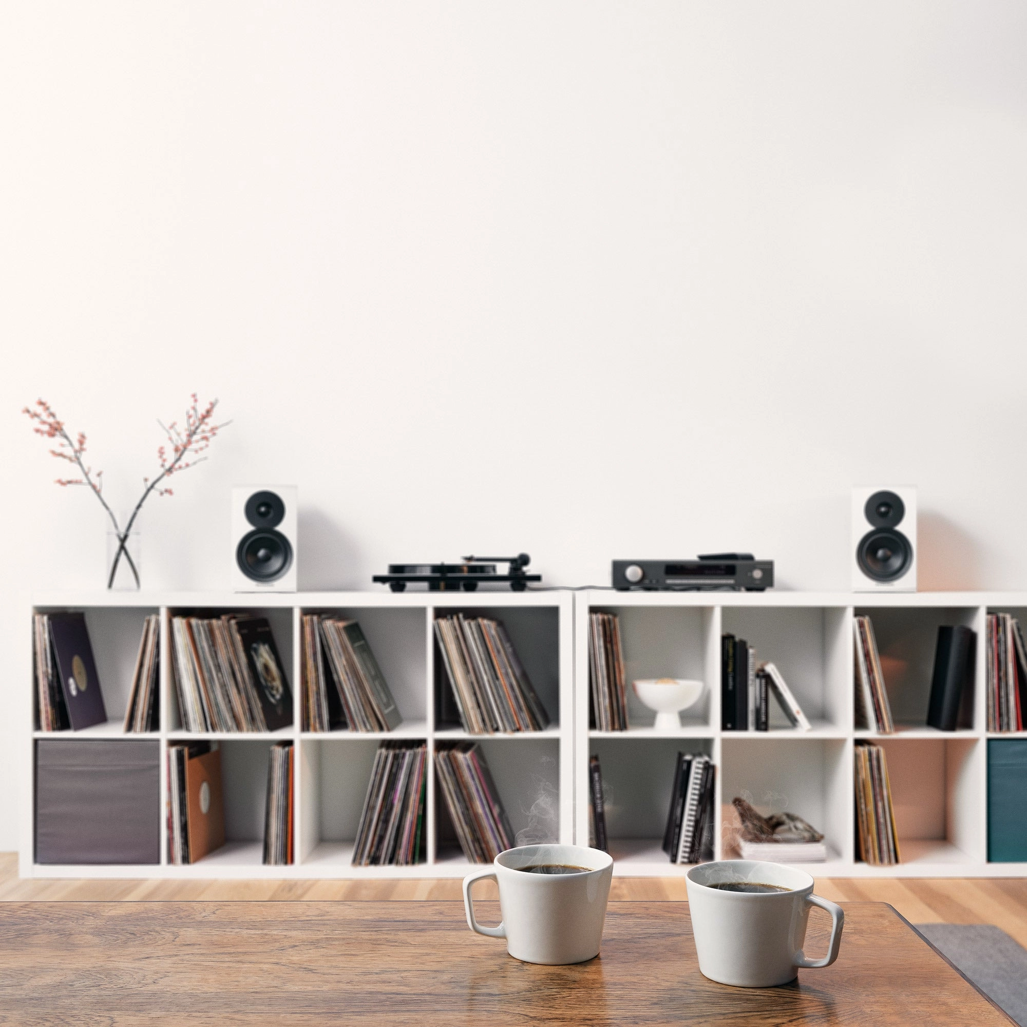 Dynaudio Emit 10 Bookshelf Speakers