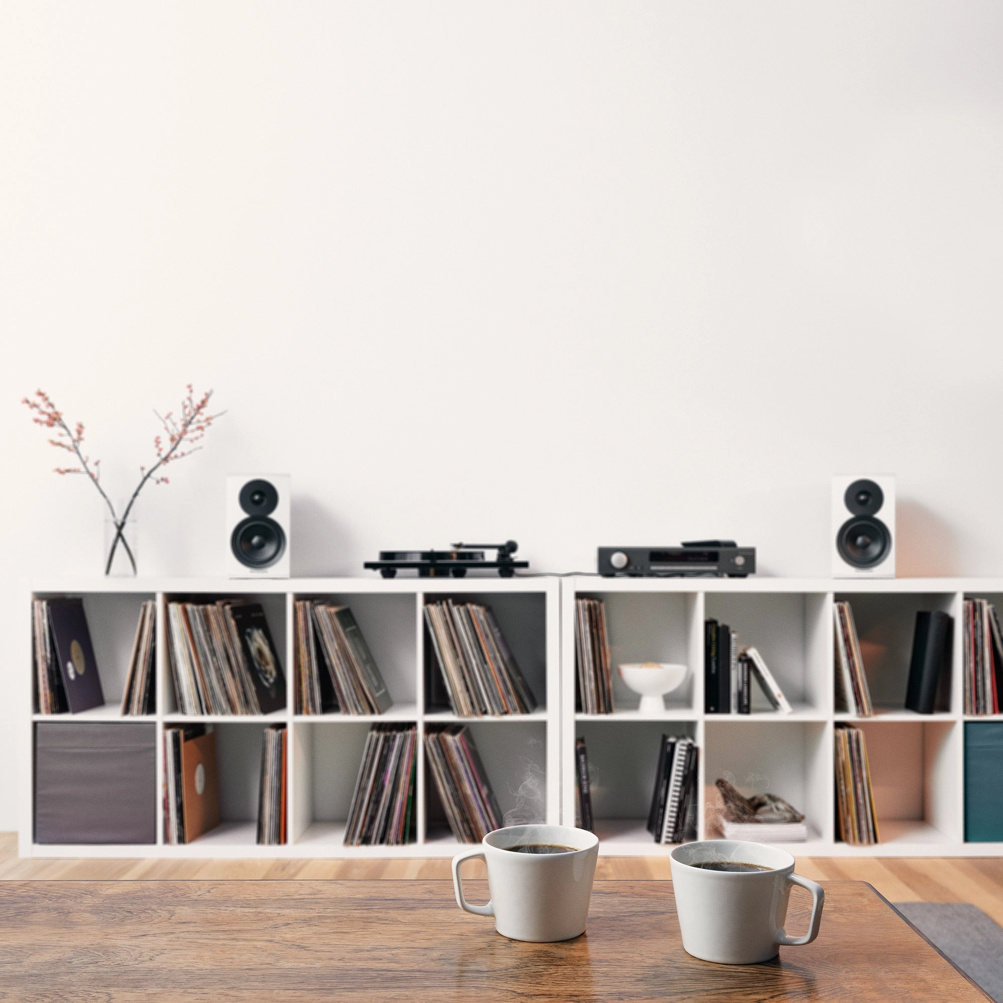 Dynaudio Emit 10 Bookshelf Speakers