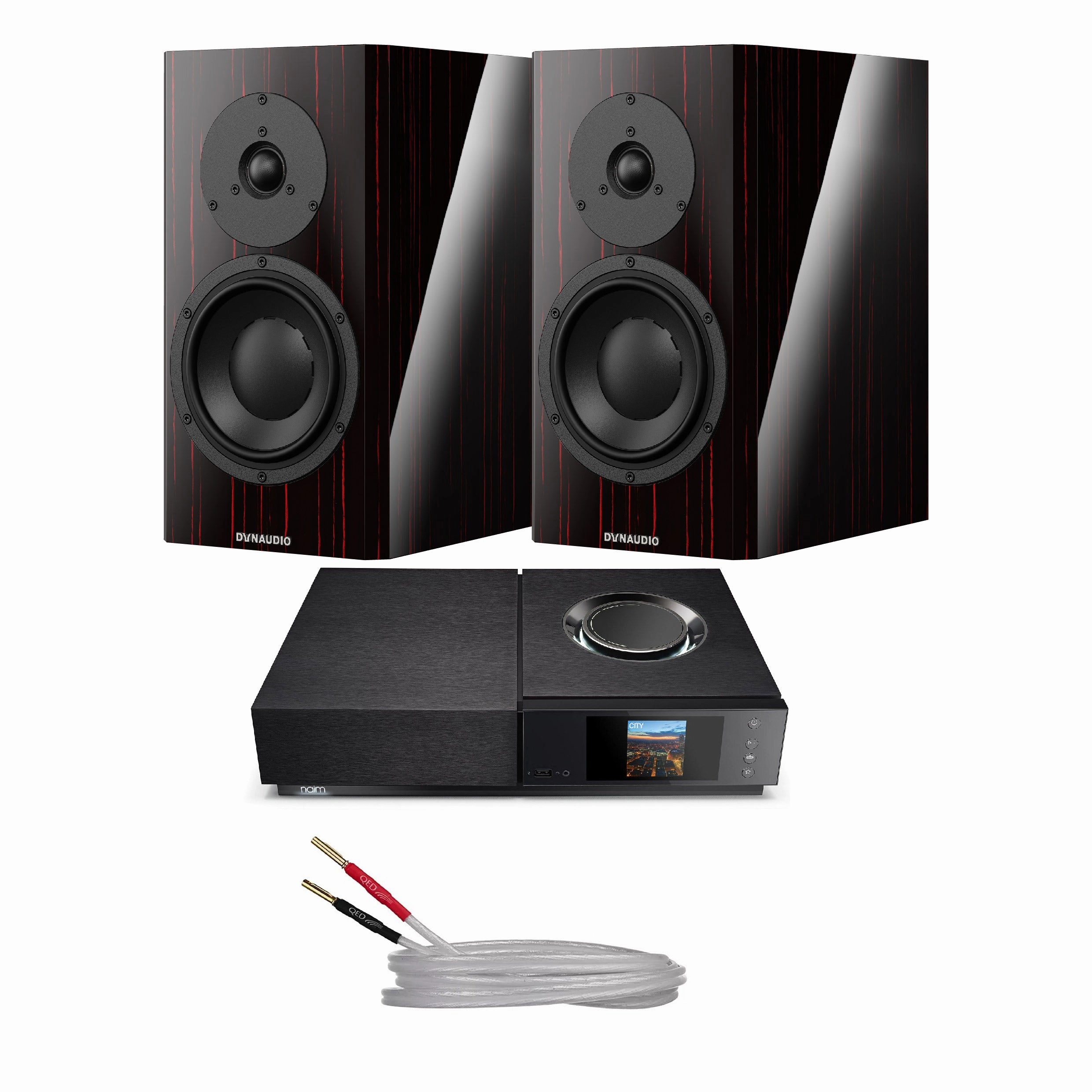 Dynaudio Special Forty with Amplifier Bundle