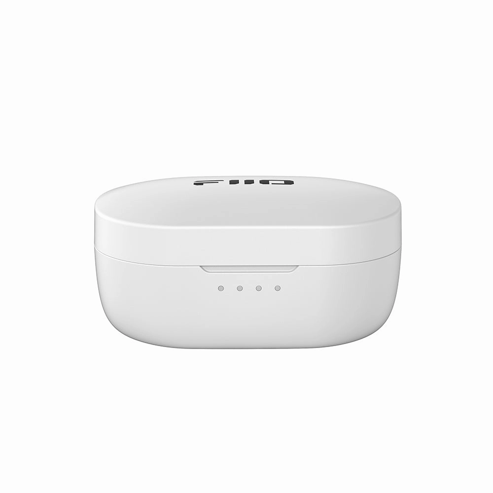 FiiO FW3 True Wireless Bluetooth Earbuds
