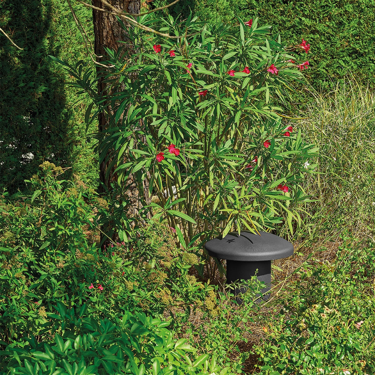 Focal OD Sub 12 12" Outdoor Subwoofer - Each (Dark)