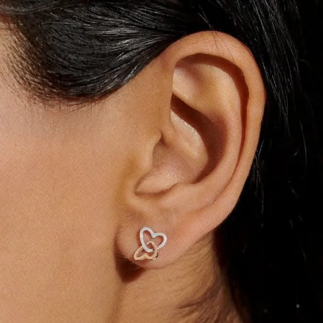 Forever Yours Fabulous Friend Silver Rose Gold Plated Earrings 6760 Joma Jewellery