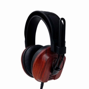 Fostex Stereo Headphones T60RP 50th Anniversary Over Ear Headphones,Circumaural Cans,Full-size Headphones
