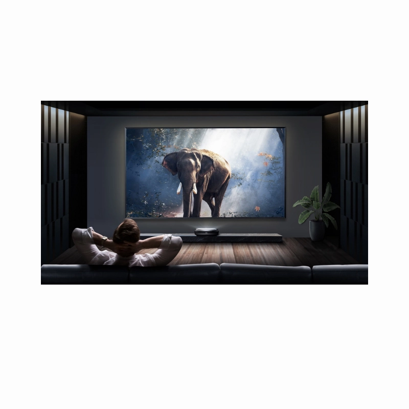 Hisense PX3-PRO DLT100-B1 | Bundle