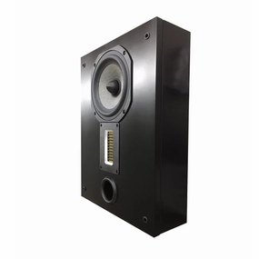 Legacy Audio Pixel On-Wall hi-fi amplifier replacement,hi-fi speaker diaphragm,hi-fi tweeter driver