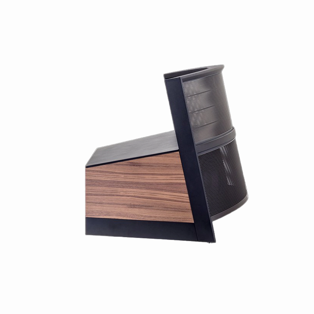Martin Logan Illusion ESL C34A (Please call/In-Store Only)