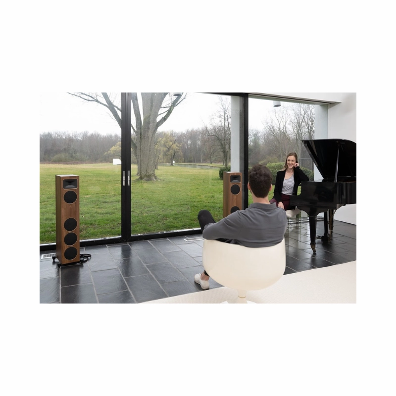 Martin Logan Motion Foundation C1 Centre (Each)