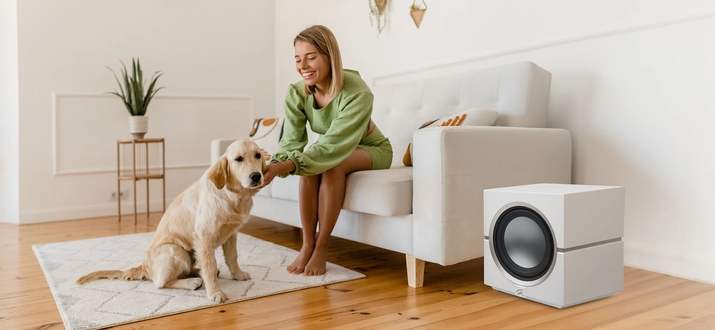 MartinLogan Dynamo 10 Subwoofer