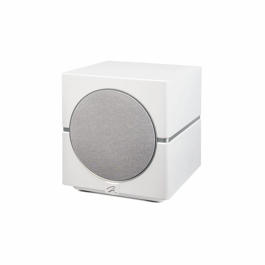MartinLogan Dynamo 10 Subwoofer