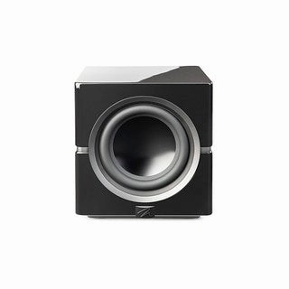 MartinLogan Dynamo 10 Subwoofer