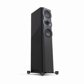 PERLISTEN Audio R5t Tower Speakers Floor Standing Speakers,Tower Speakers,Floorstanding Audio