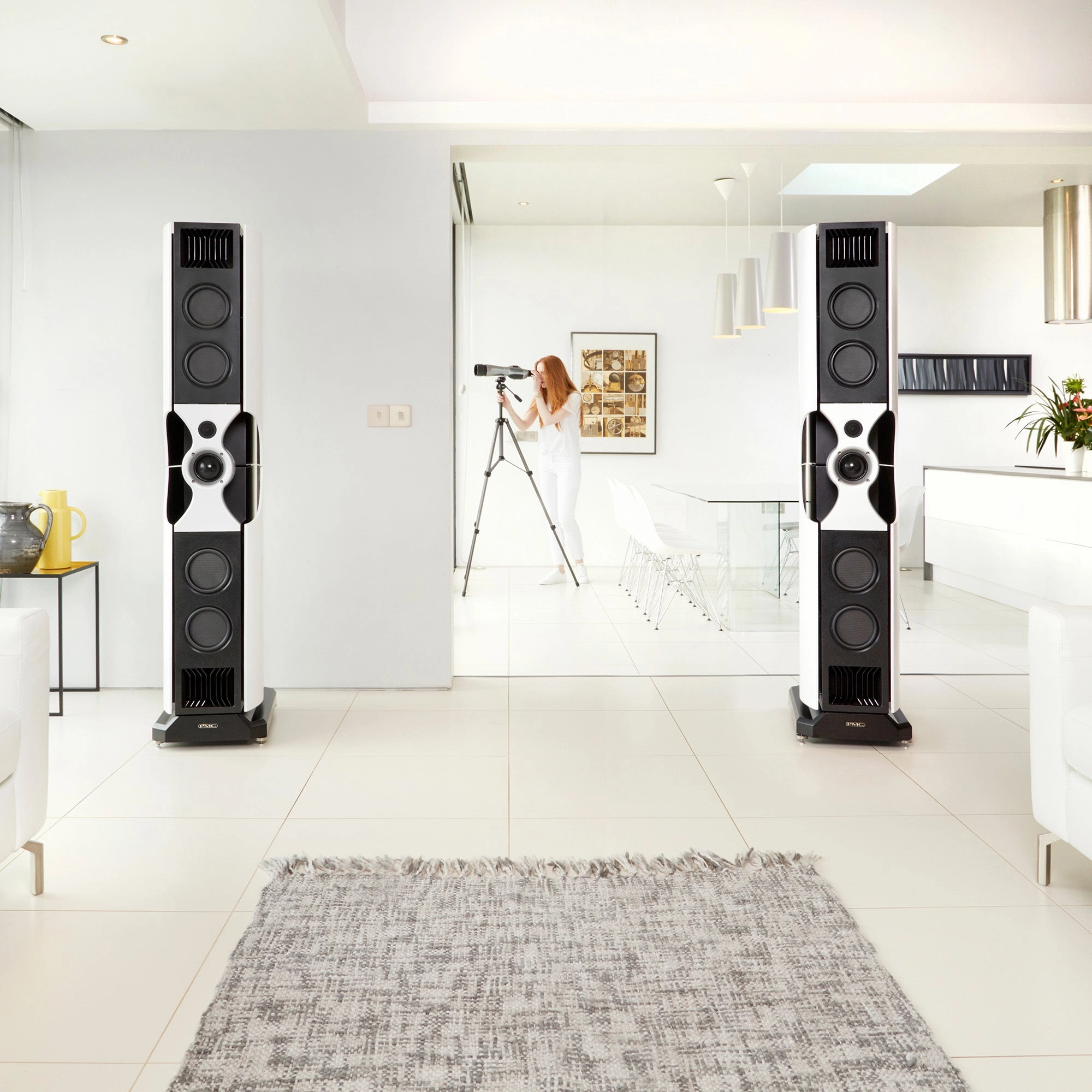 PMC fact fenestria Floor Standing Speakers