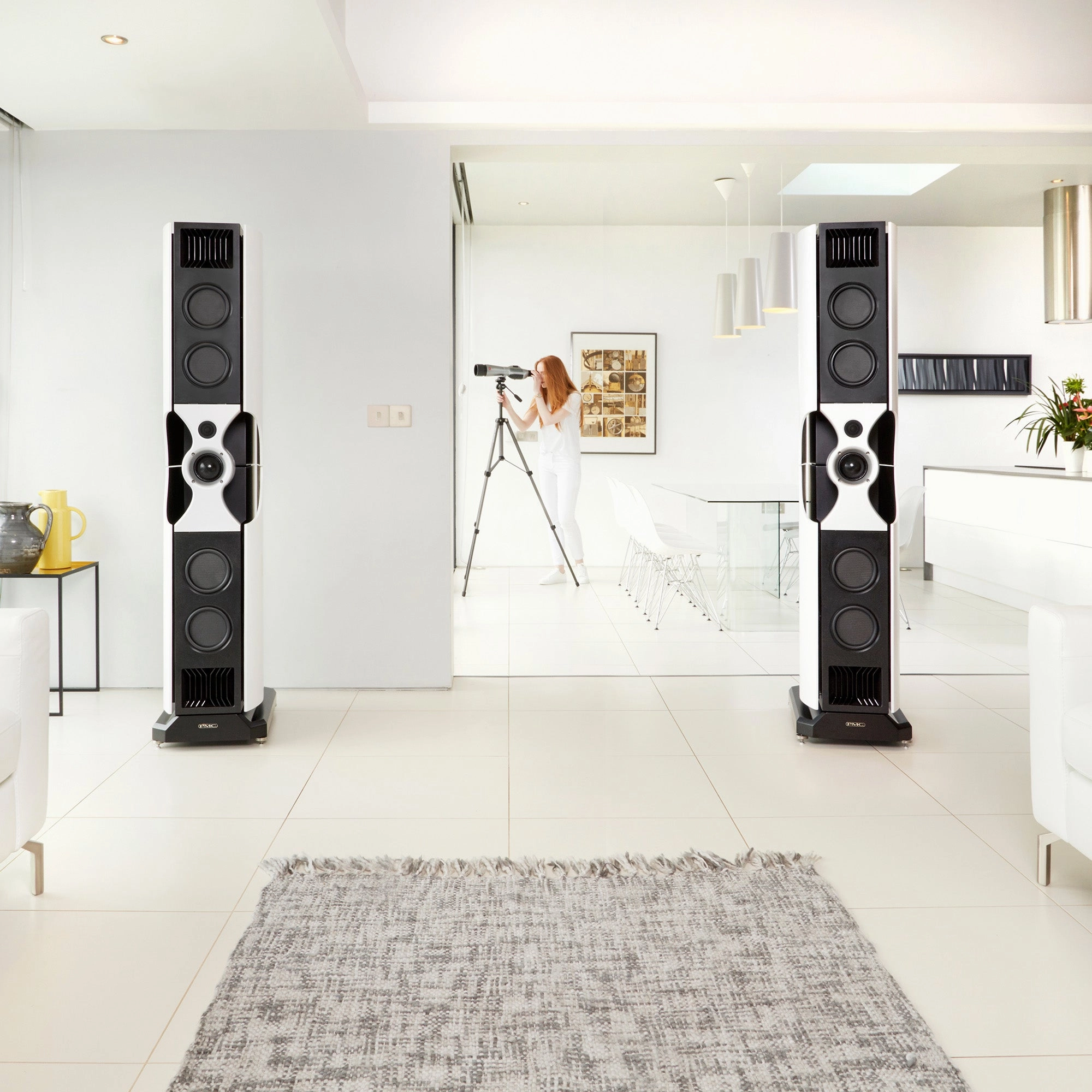 PMC fact fenestria Floor Standing Speakers
