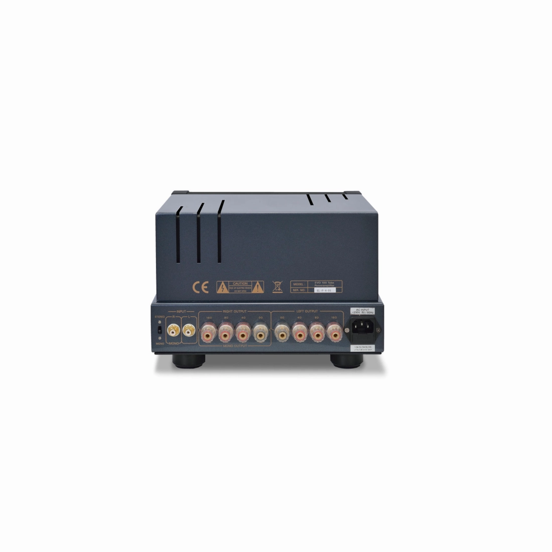 PrimaLuna Evo 100 Power Amplifier