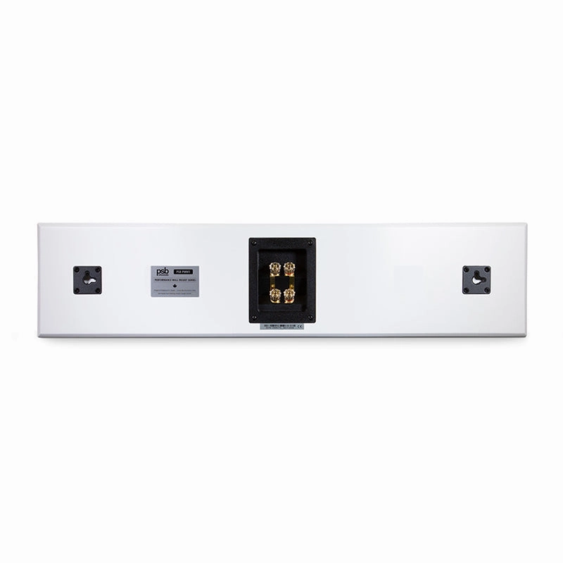 PSB PWM1 - On-Wall Speaker
