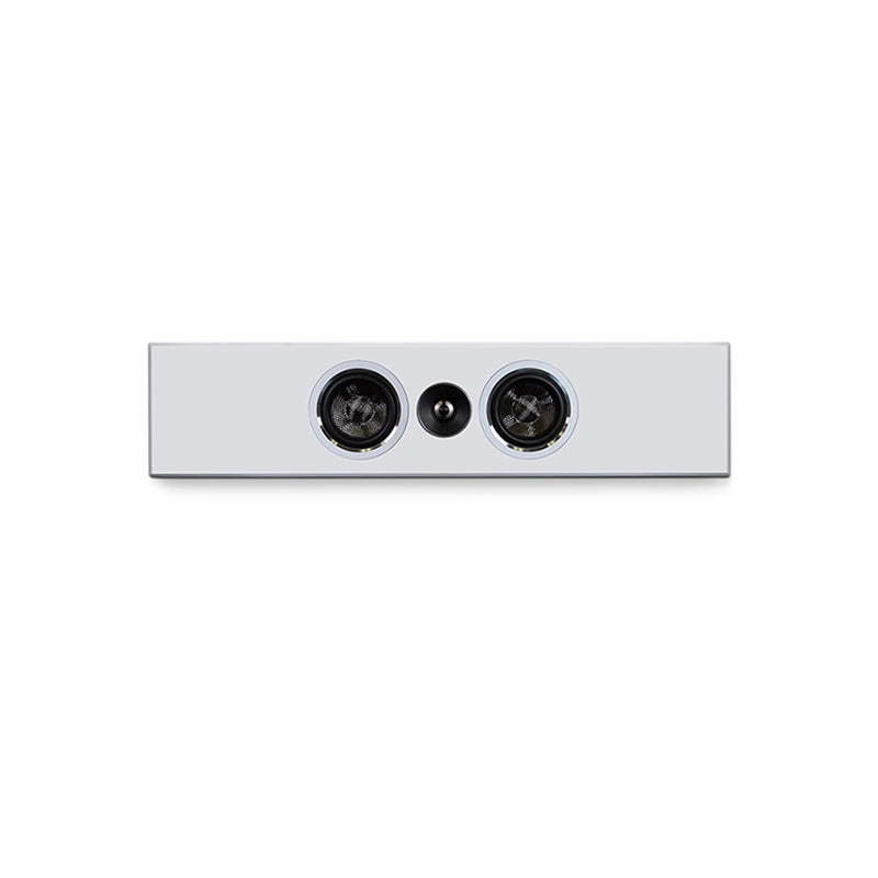 PSB PWM1 - On-Wall Speaker