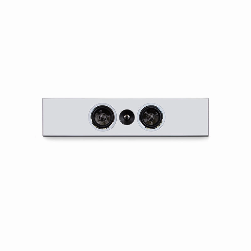 PSB PWM1 - On-Wall Speaker