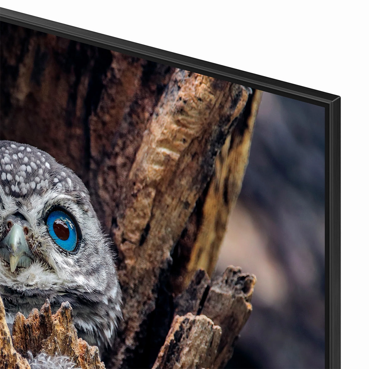 Samsung Q80D 50" 4K QLED Smart TV (2024)