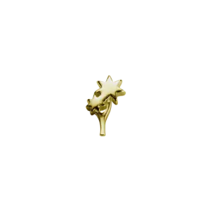 Stow Lockets Jewellery STOW Cabbage Tree (Invincible) Charm - 9ct Yellow Gold