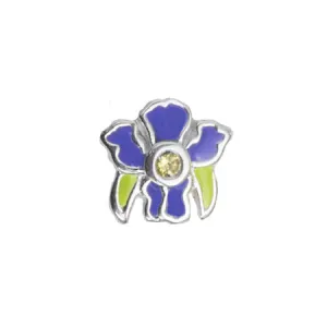 Stow Lockets Jewellery STOW February Iris (Wisdom) Charm