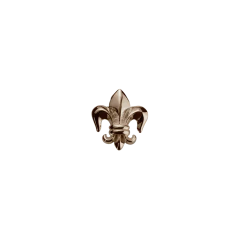 Stow Lockets Jewellery STOW Fleur De Lis (Elegance) Charm - 9ct Rose Gold