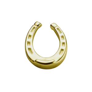 Stow Lockets Jewellery STOW Lucky Horseshoe (Good Luck) Charm - 9ct Yellow Gold