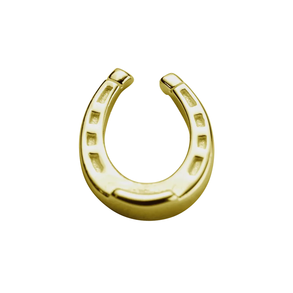 Stow Lockets Jewellery STOW Lucky Horseshoe (Good Luck) Charm - 9ct Yellow Gold