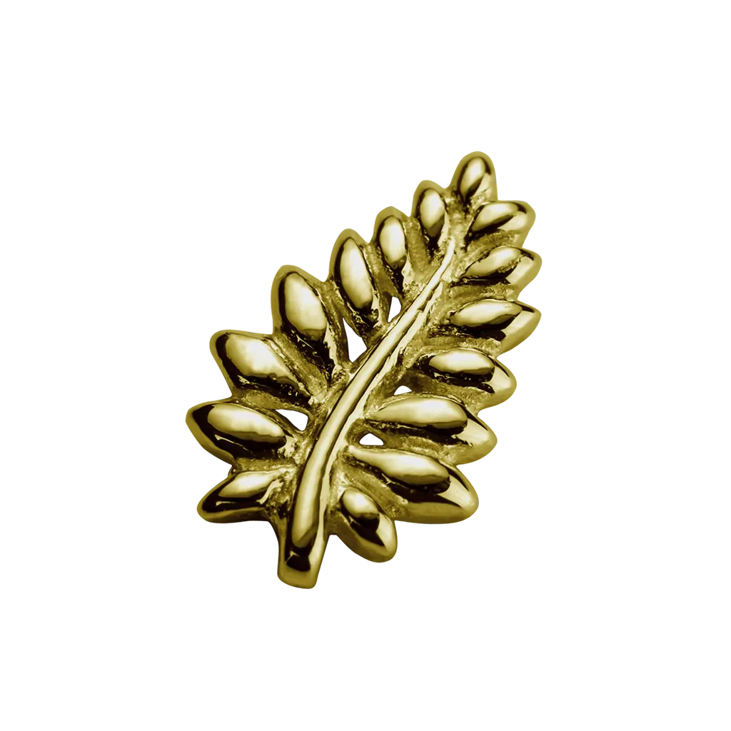 Stow Lockets Jewellery STOW NZ Fern (Loyal) Charm - 9ct Yellow Gold