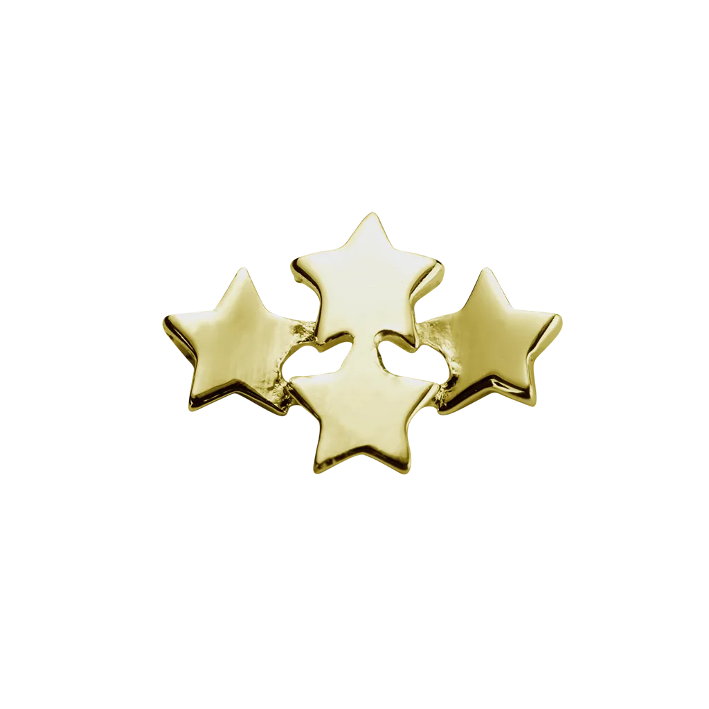 Stow Lockets Jewellery STOW Wishing Stars (My Dreams) Charm - 9ct Yellow Gold