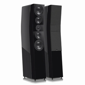 Floor Standing Speakers