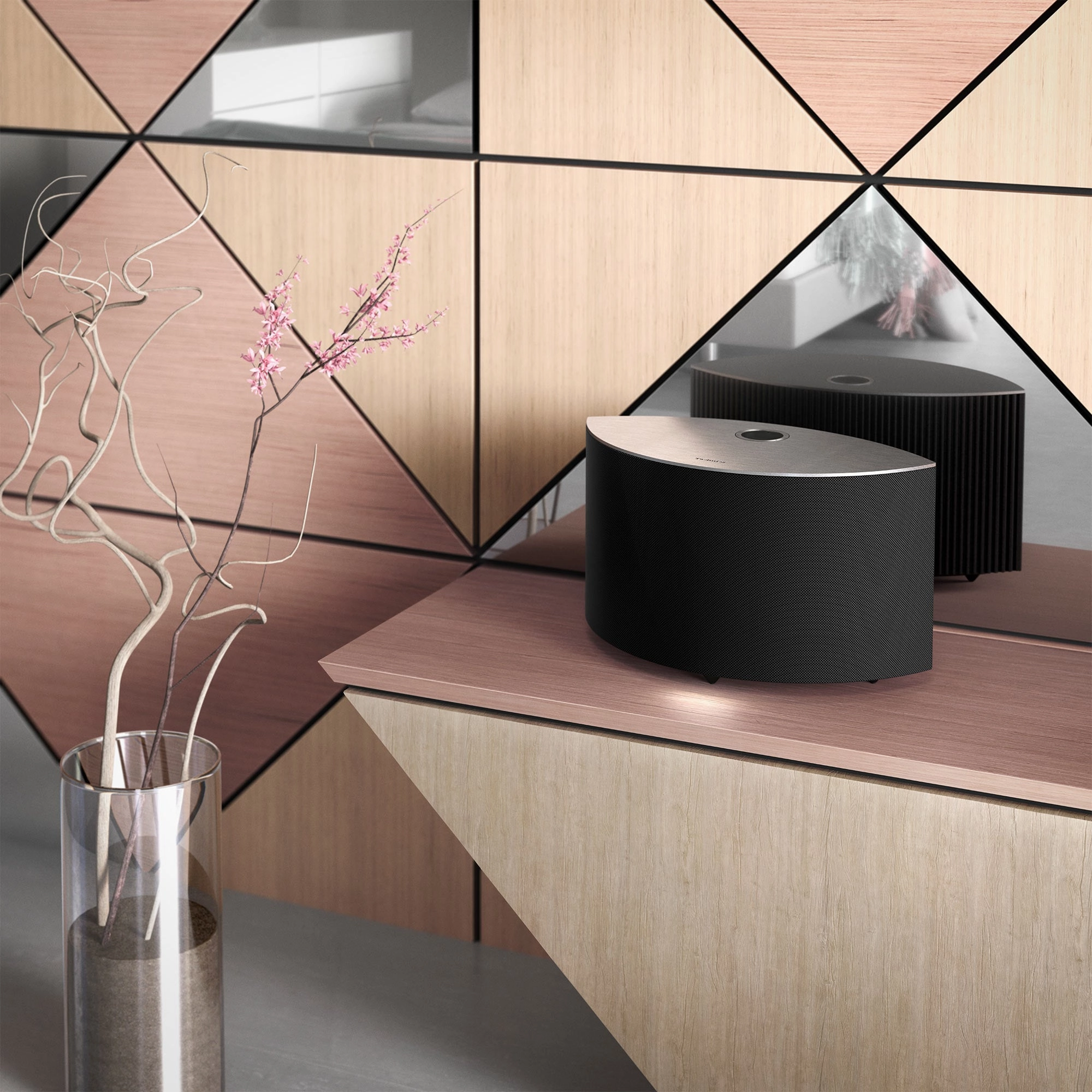 Technics Ottava S SC-C50 Wireless Speaker System
