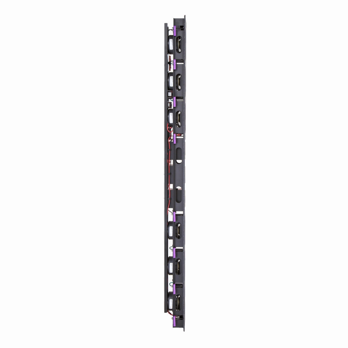 Wisdom Audio P6i Point Source In-Wall Loudspeaker